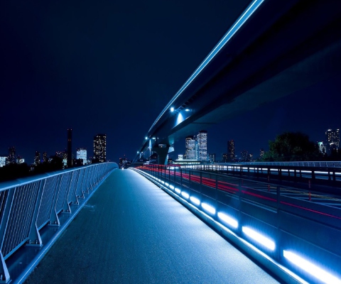 Bridge In Tokyo screenshot #1 480x400