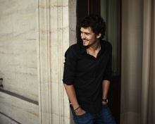 Обои Orlando Bloom 220x176