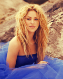 Das Shakira Wallpaper 128x160