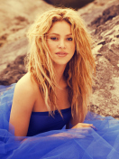 Das Shakira Wallpaper 132x176