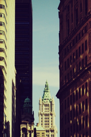 Among The Buildings wallpaper 320x480