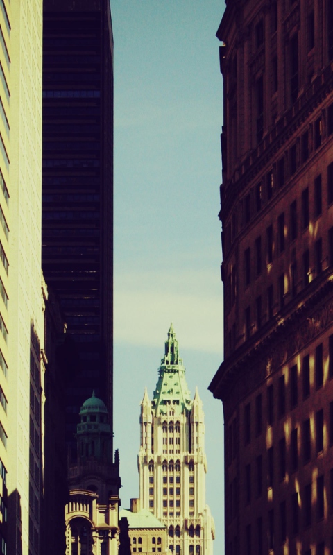 Among The Buildings wallpaper 480x800