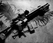 Fondo de pantalla AR15 Rifle 176x144