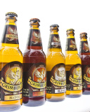 Das Grimbergen Cerveza Wallpaper 128x160