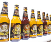 Grimbergen Cerveza wallpaper 176x144