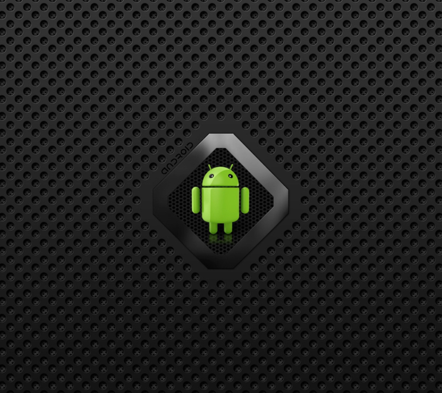 Android Logo wallpaper 1440x1280