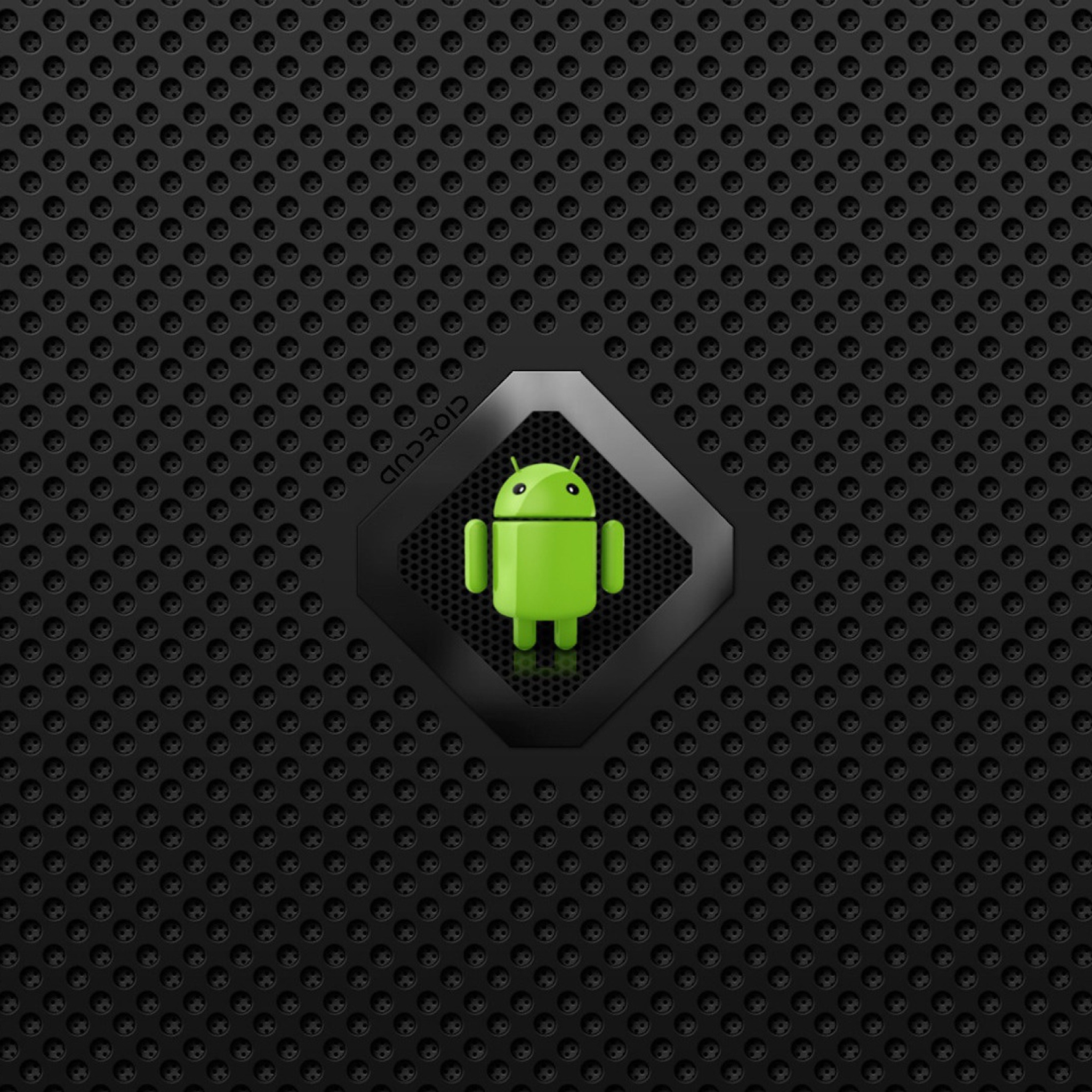 Fondo de pantalla Android Logo 2048x2048