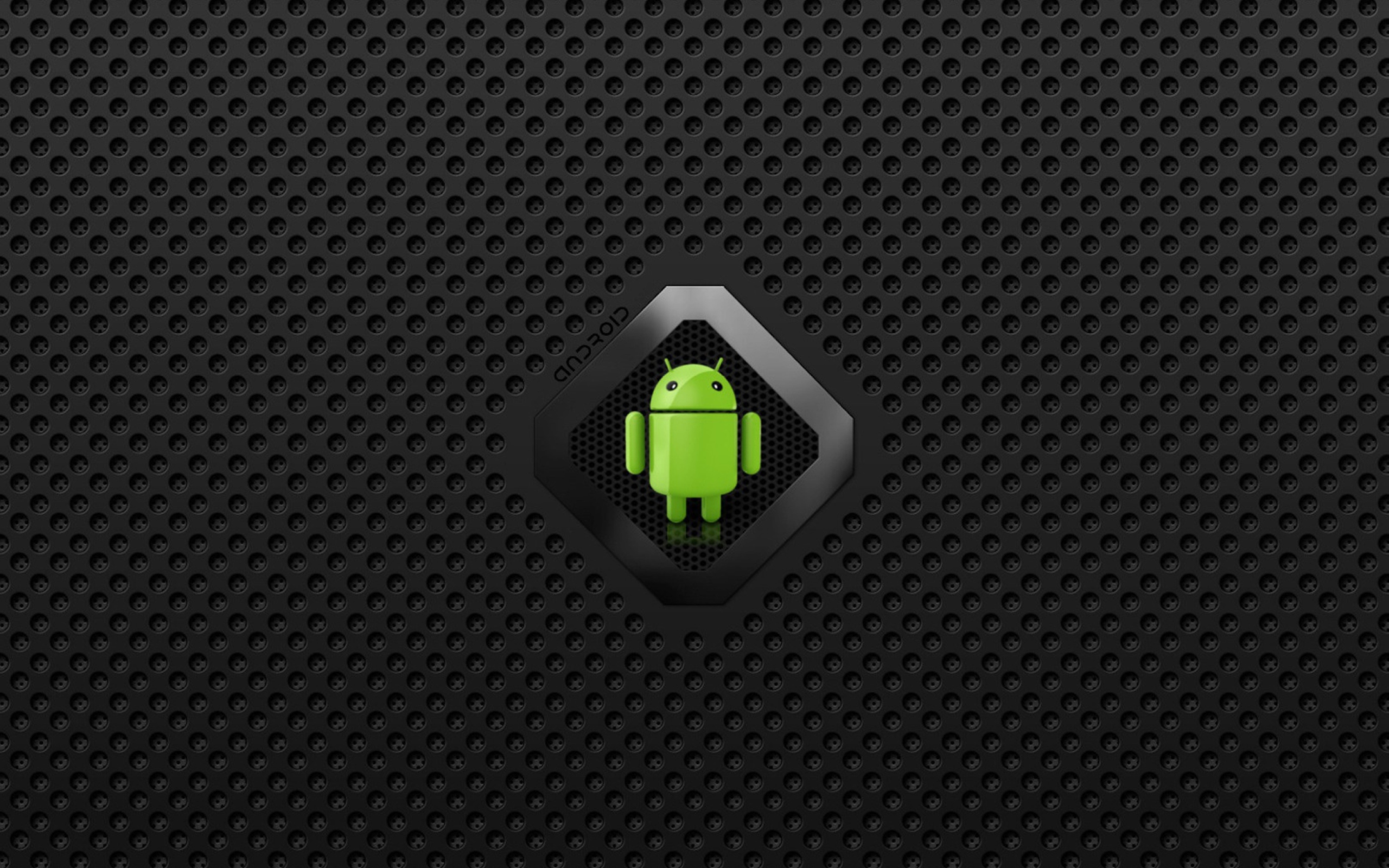 Das Android Logo Wallpaper 2560x1600