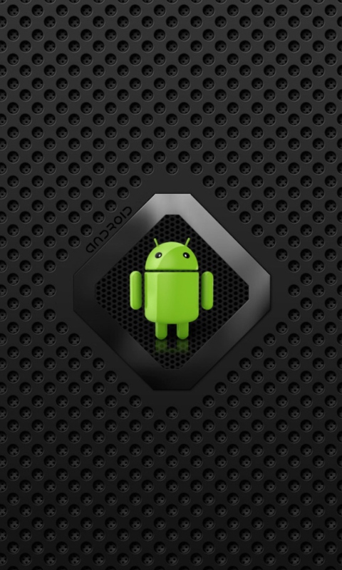 Android Logo wallpaper 480x800