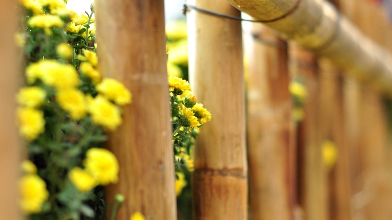 Sfondi Macro fence 1280x720