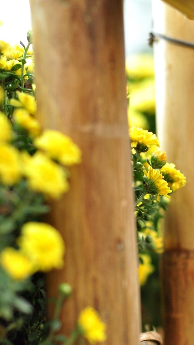 Macro fence wallpaper 640x1136