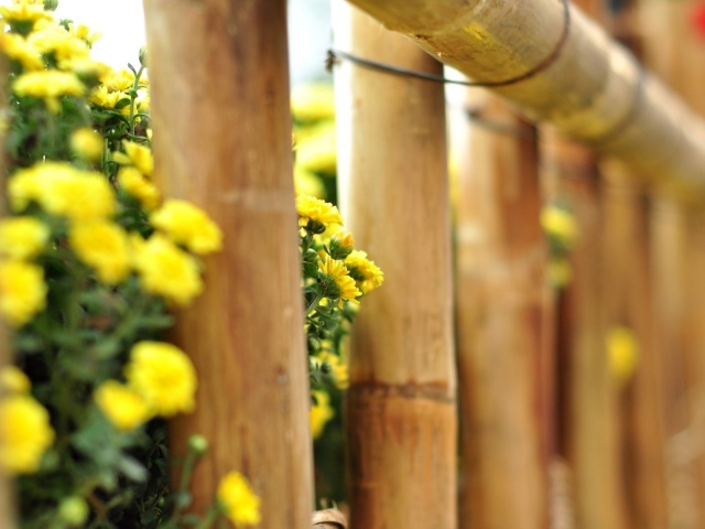 Macro fence screenshot #1 640x480