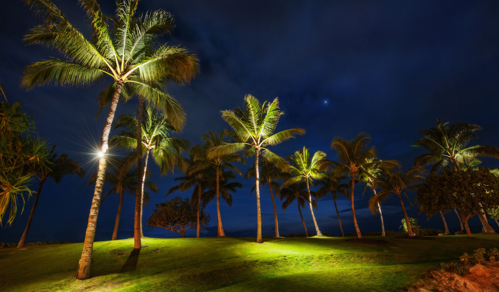 Обои Oahu Hawaii Landscape 1024x600