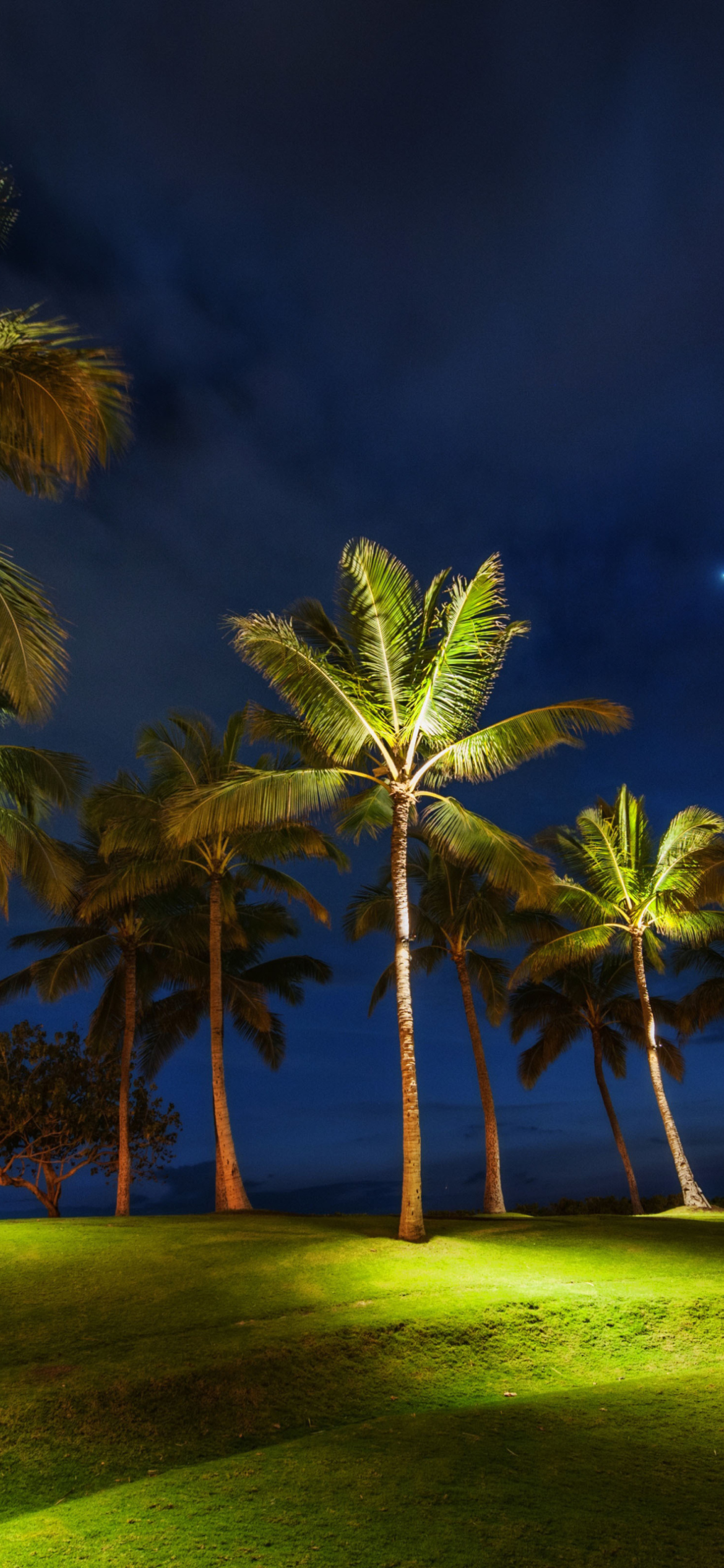 Fondo de pantalla Oahu Hawaii Landscape 1170x2532
