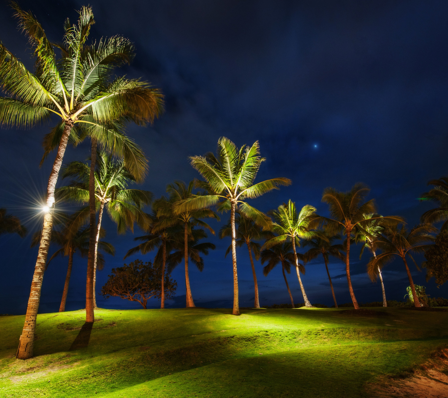 Fondo de pantalla Oahu Hawaii Landscape 1440x1280