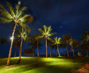 Fondo de pantalla Oahu Hawaii Landscape 176x144