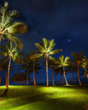 Fondo de pantalla Oahu Hawaii Landscape 176x220