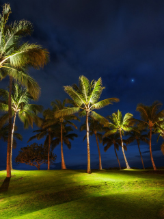 Fondo de pantalla Oahu Hawaii Landscape 240x320