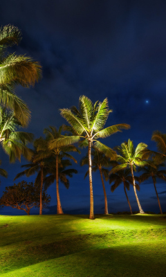 Fondo de pantalla Oahu Hawaii Landscape 240x400
