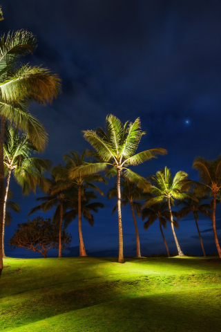 Обои Oahu Hawaii Landscape 320x480