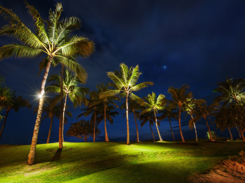 Screenshot №1 pro téma Oahu Hawaii Landscape 800x600