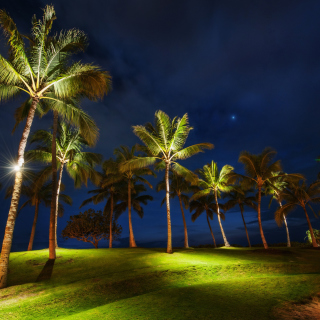 Oahu Hawaii Landscape sfondi gratuiti per 1024x1024