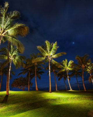 Oahu Hawaii Landscape Background for HTC Touch Diamond CDMA