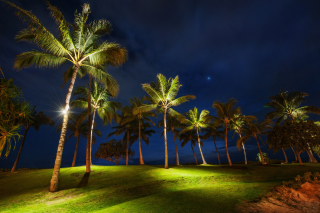 Oahu Hawaii Landscape Background for Android, iPhone and iPad