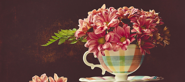 Das Chrysanthemums in ingenious vase Wallpaper 720x320