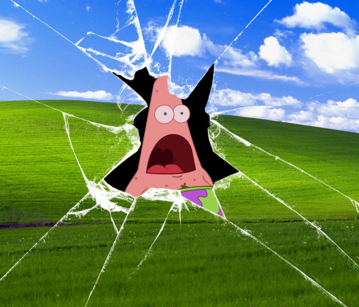 Обои Patrick Breaking Windows 1200x1024