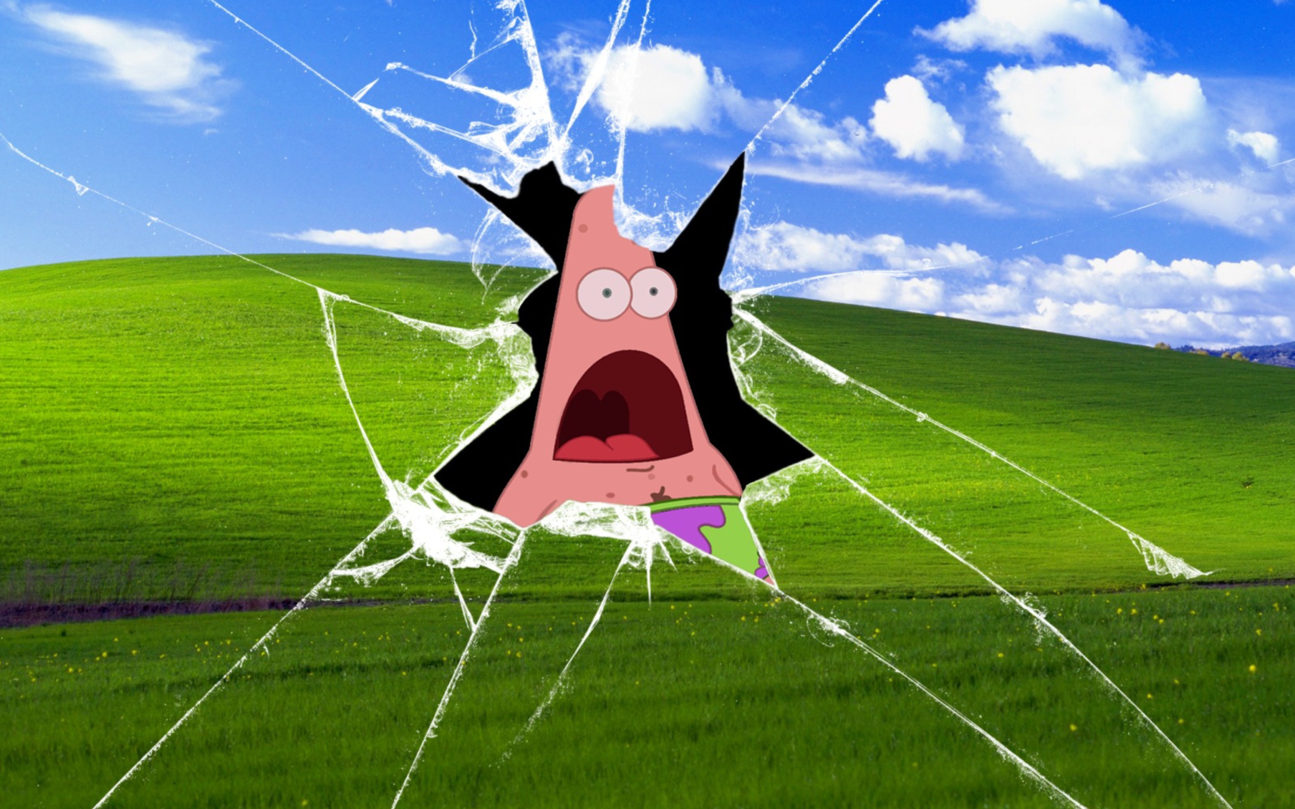 Das Patrick Breaking Windows Wallpaper 2560x1600
