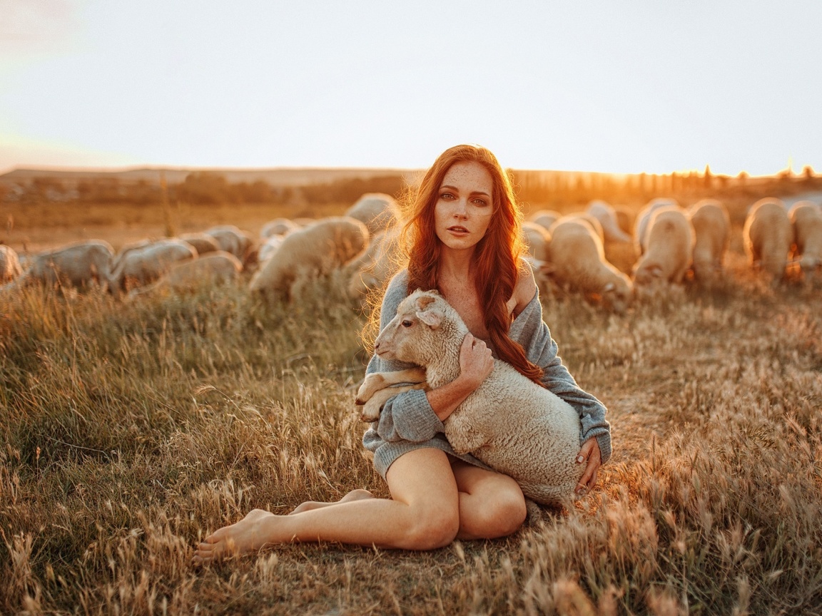 Fondo de pantalla Girl with Sheep 1152x864