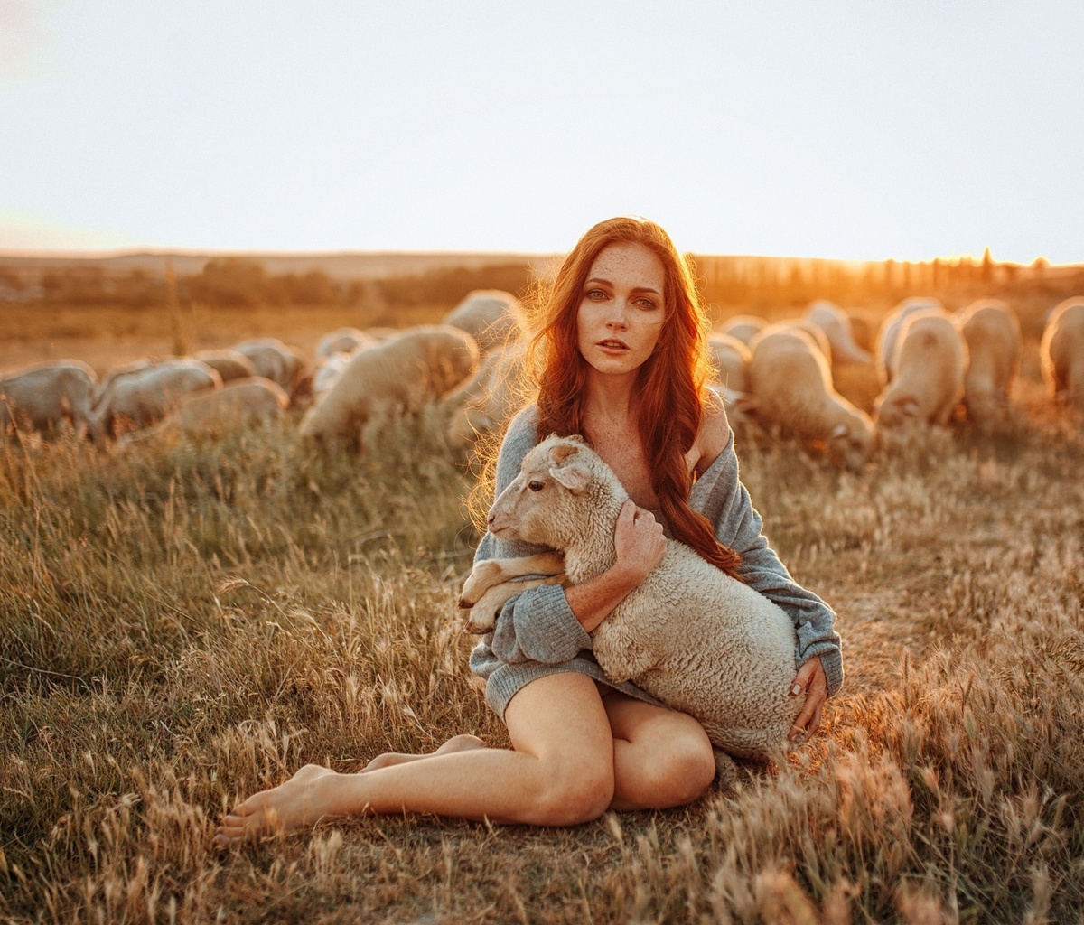 Das Girl with Sheep Wallpaper 1200x1024