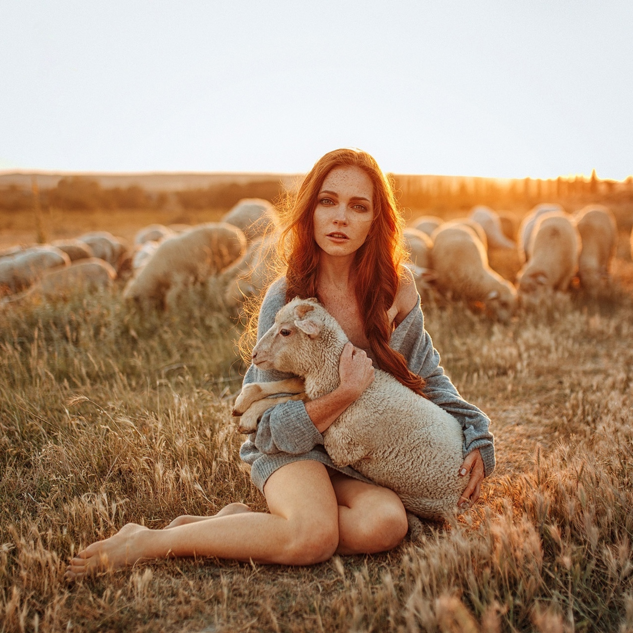 Girl with Sheep wallpaper 2048x2048
