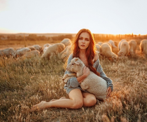 Обои Girl with Sheep 480x400