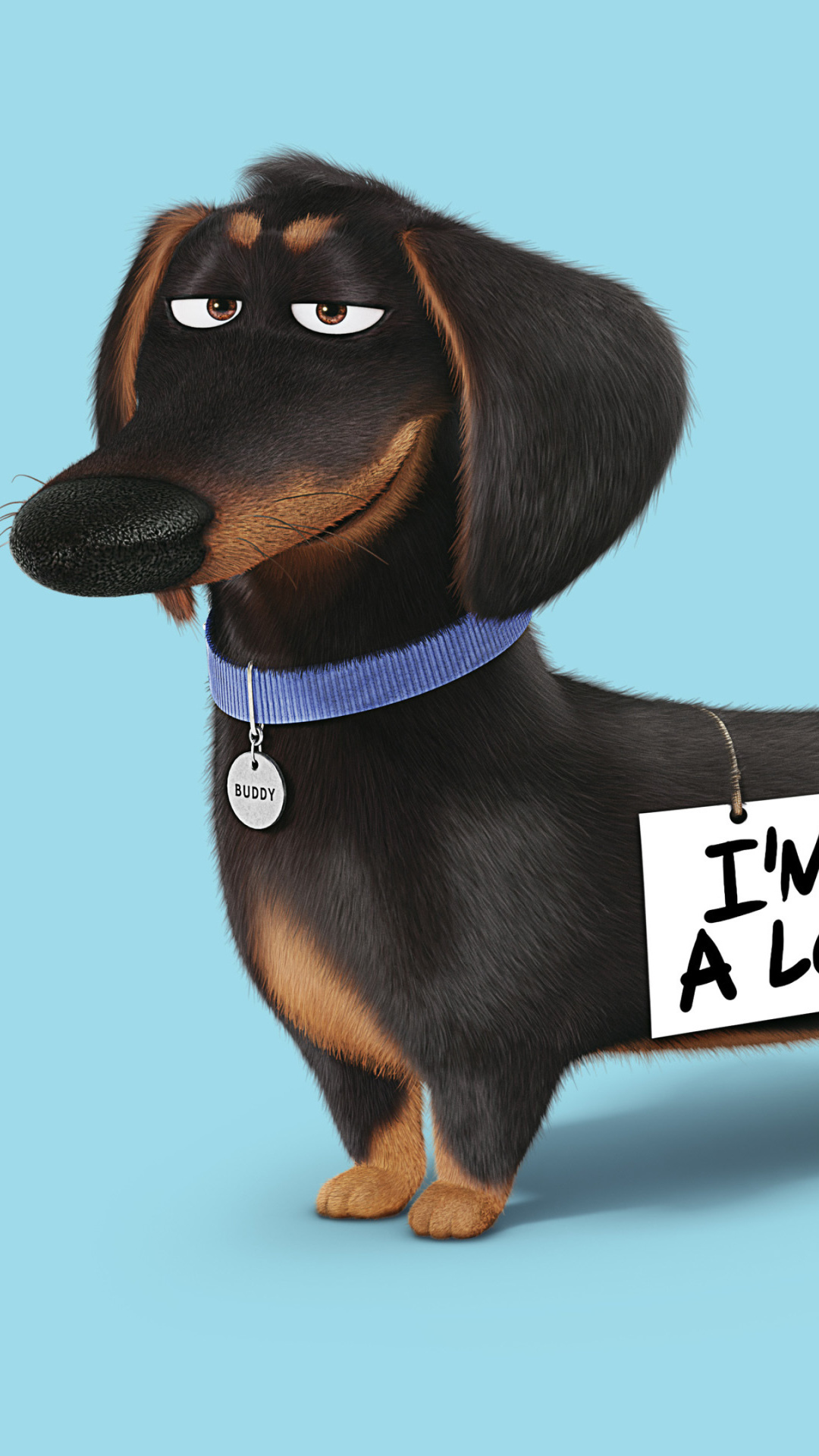 Das Buddy from The Secret Life of Pets Wallpaper 1080x1920
