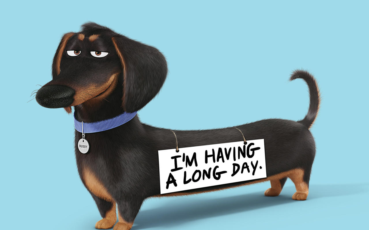 Buddy from The Secret Life of Pets wallpaper 1280x800