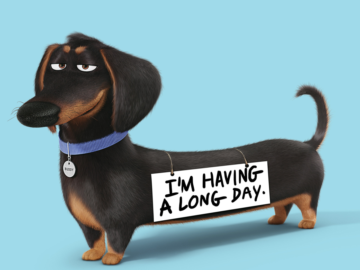 Das Buddy from The Secret Life of Pets Wallpaper 1400x1050
