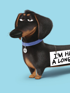 Fondo de pantalla Buddy from The Secret Life of Pets 240x320