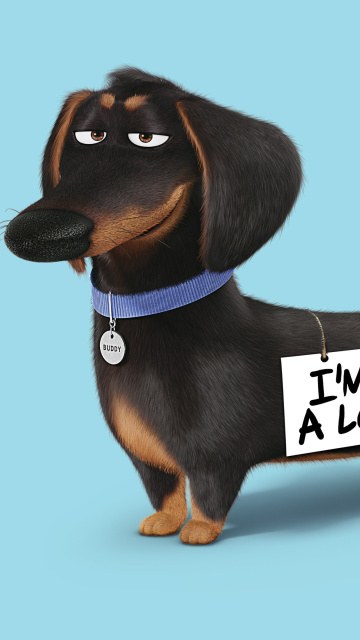 Обои Buddy from The Secret Life of Pets 360x640