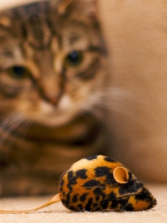 Cat And Mouse Toy screenshot #1 240x320