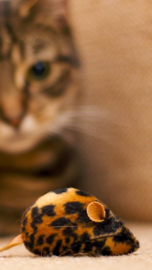 Cat And Mouse Toy wallpaper 640x1136