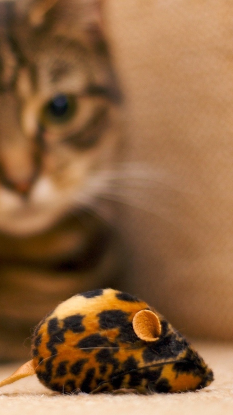 Cat And Mouse Toy wallpaper 750x1334
