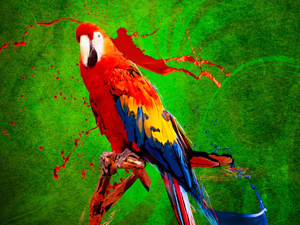Fondo de pantalla Big Parrot In Zoo 1024x768