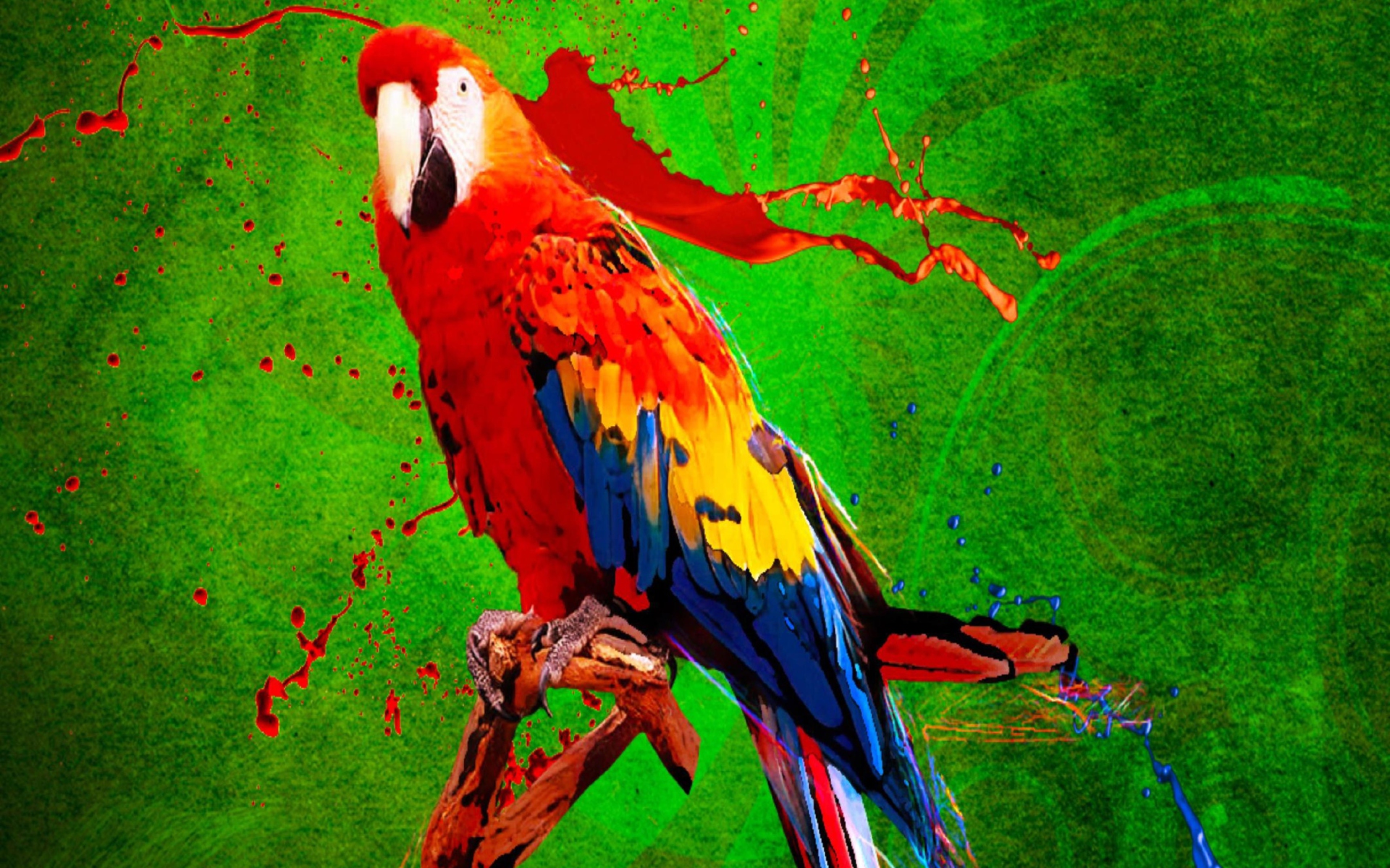 Fondo de pantalla Big Parrot In Zoo 1920x1200