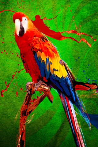 Big Parrot In Zoo wallpaper 320x480