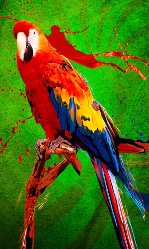 Обои Big Parrot In Zoo 480x800