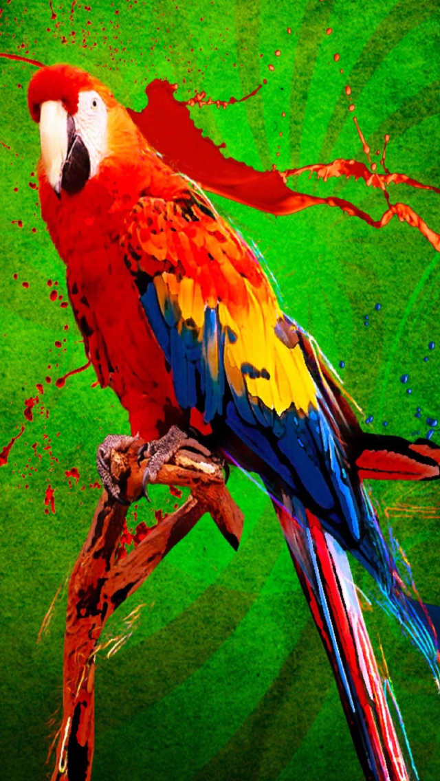 Big Parrot In Zoo wallpaper 640x1136