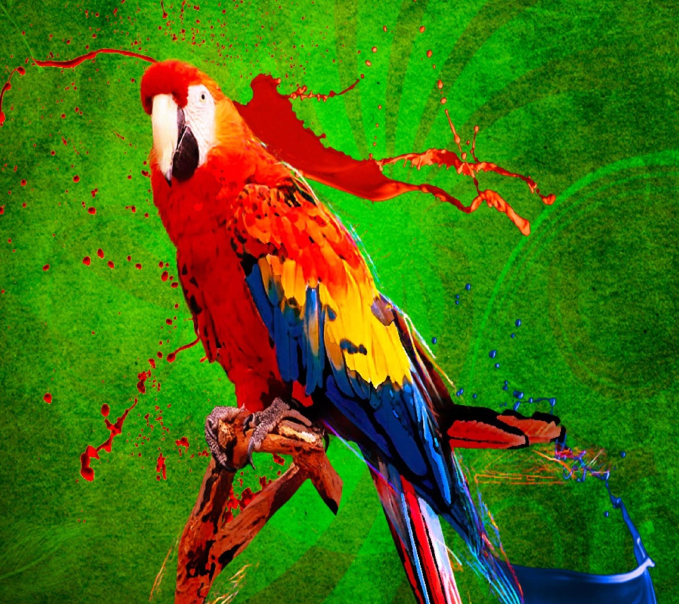 Das Big Parrot In Zoo Wallpaper 960x854
