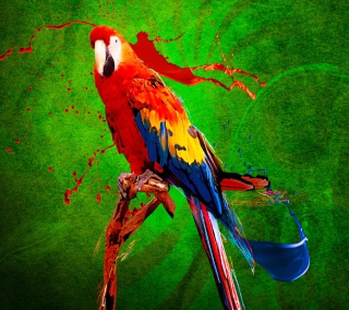Big Parrot In Zoo - Obrázkek zdarma pro iPad 3